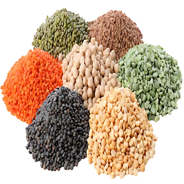 Dried Legumes